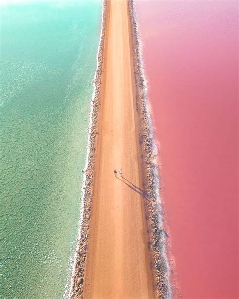 Lac Rose Pink Lake Australia Australia Travel South Australia