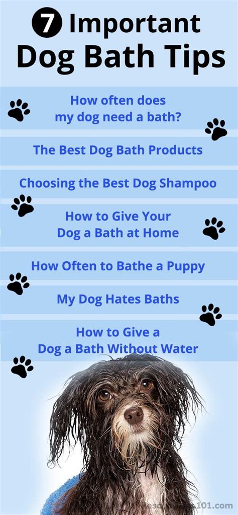 7 Important Dog Bathing Tips Dog Care Tips Dog Grooming Best Dog