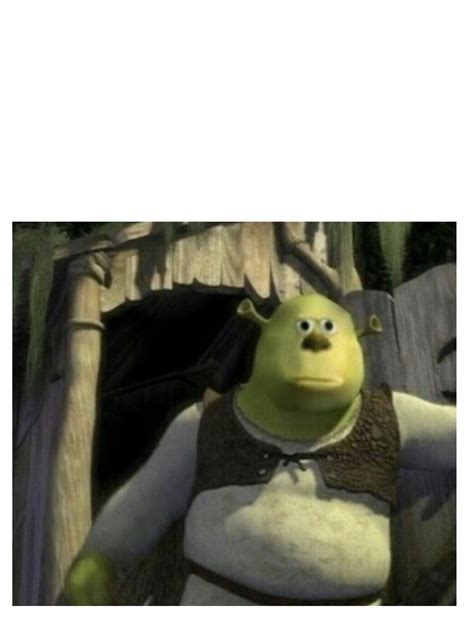 Shrek With Mike Wazowski Face Memetemplatesofficial
