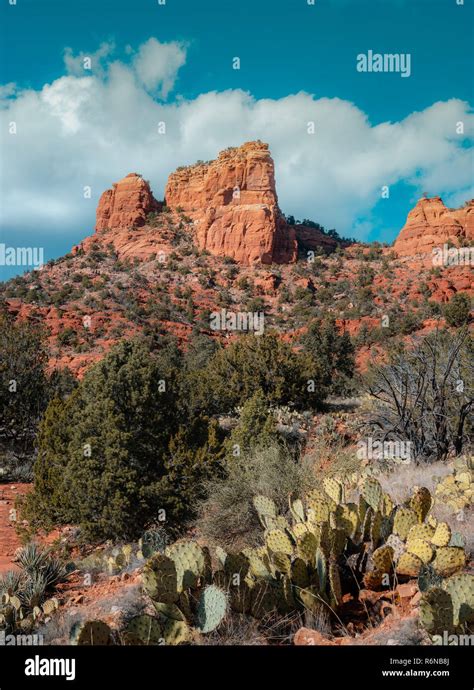 Sedona Cathedral Rock Arizona Desert Landscape Stock Photo Alamy