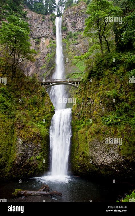 Multnomah Falls On The Oregon Side Of The Columbia River Gorge Showing