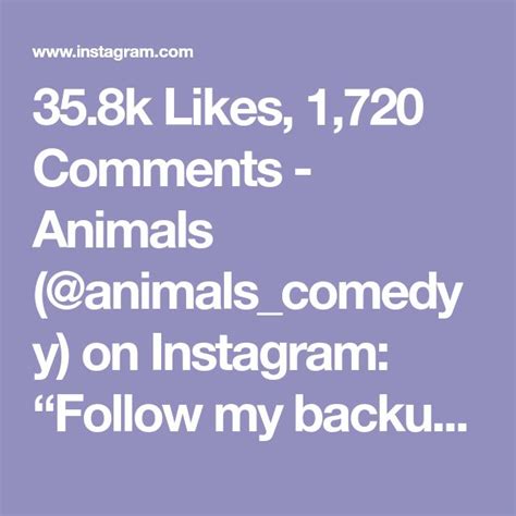 358k Likes 1720 Comments Animals Animalscomedyy On Instagram