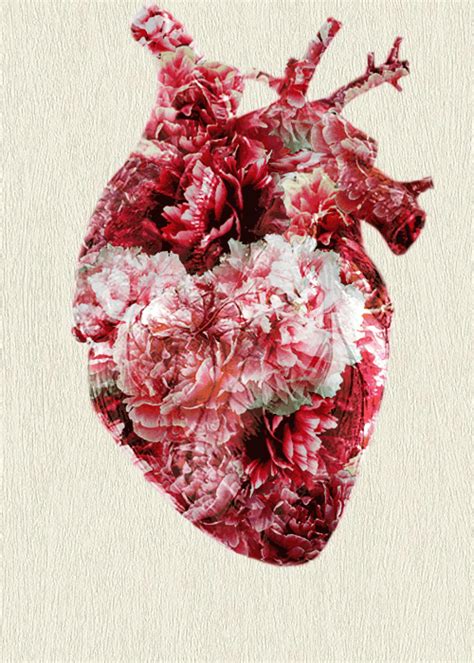 Aesthetic Heart Transparent  Largest Wallpaper Portal