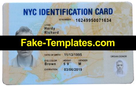 New York Id Card Psd Template 2024