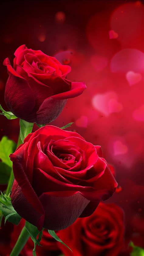 Red Roses Love Hearts Hazy Romantic 1242x2688 Iphone Xs Romantic