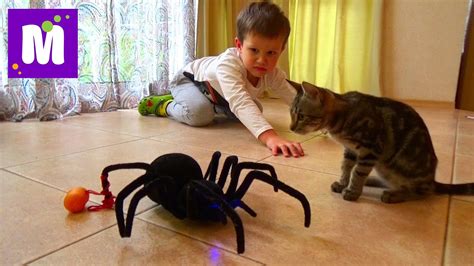 Если вы найдете паука, нет смысла хватать спрей от насекомых или прихлопывать его до. Паук Чёрная вдова распаковка игрушки на Радио управлении ...