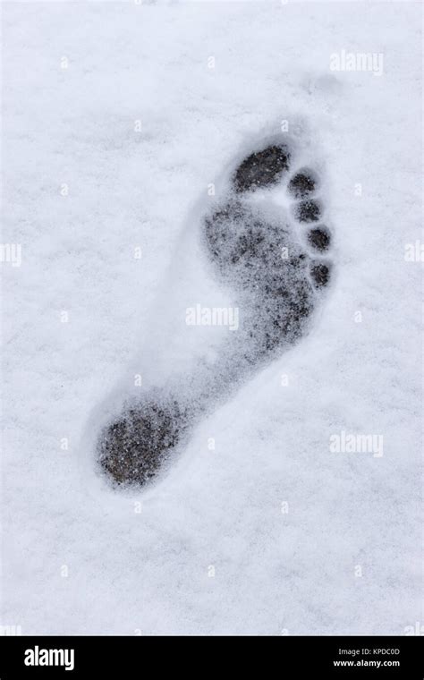 Barefoot Snow Hi Res Stock Photography And Images Alamy