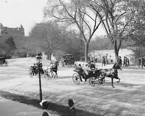 How Central Parks Complex History Played Into The Case Against The