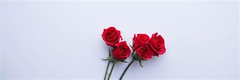 Premium Ai Image A Bunch Of Red Roses On A White Background