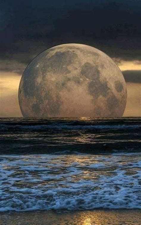 Moon Photos Moon Pictures Nature Pictures Amazing Nature Shoot The