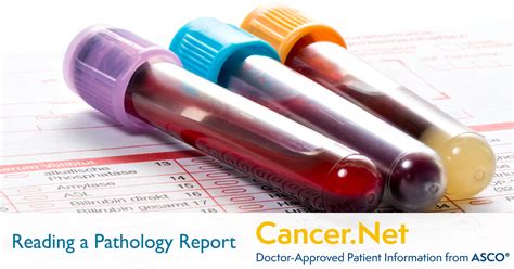 Reading A Pathology Report Cancernet