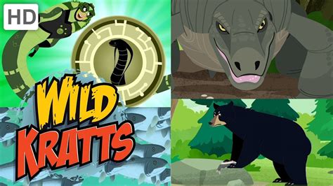 Wild Kratts Komodo Dragon Tvokids Kids Matttroy