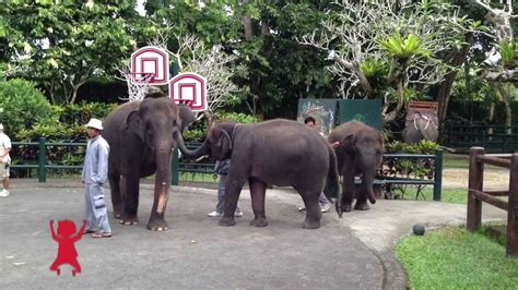 Kids View: What to do in Bali (Insider tips from local kids) - YouTube