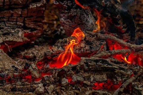 Texture Flame From Burning Logs At Night Stock Photo Image Of Energy