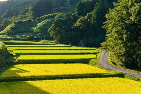 Agriculture Landscape Of Japanese Countryside Stock Image Image Of