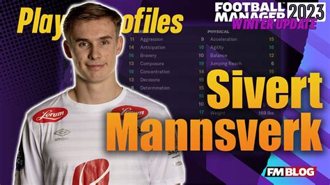 Sivert Mannsverk Player Profiles 10 Years In Football Manager 2023 Winter Update Youtube