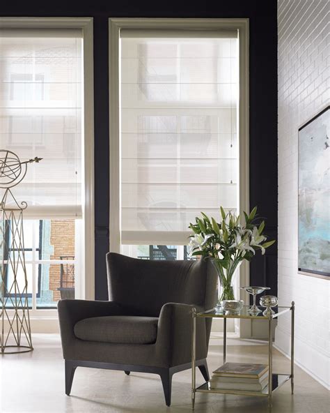 Sheer Roman Shades Contemporary Window Treatments Living Room