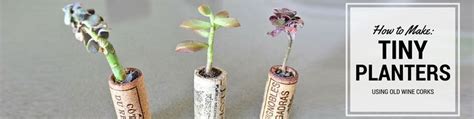 How To Recycle Old Wine Corks Into Cute Mini Planters Wine Cork Cork