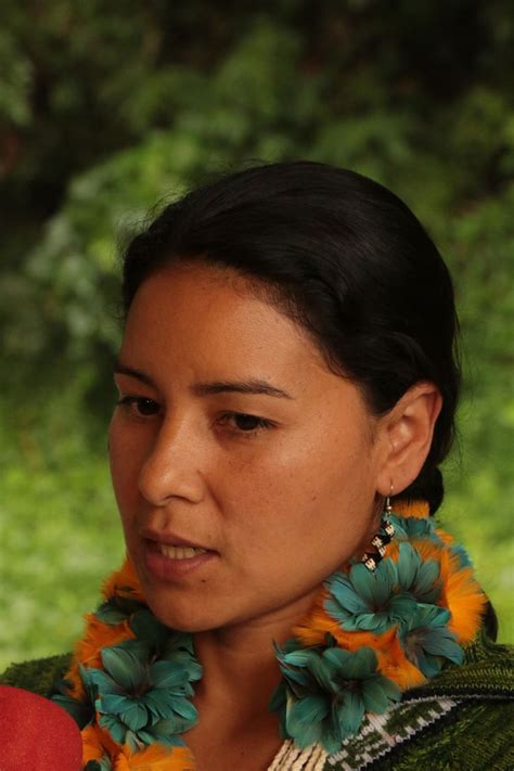 The guarani people in brazil are divided into three groups: Jerá Guarani - Teia - Especiais - GNT