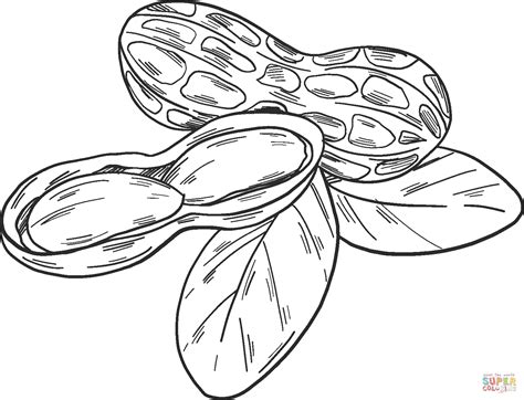 Peanuts Coloring Page Free Printable Coloring Pages