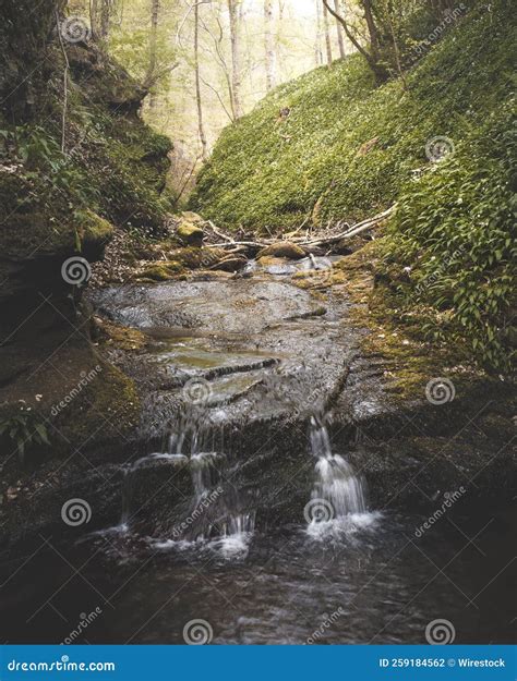 A Green Forest With Water Streaming On A Rock Stock Photo Image Of
