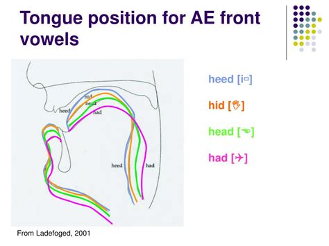 Ppt Vowel Articulation In English Powerpoint Presentation Free