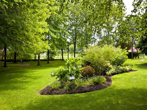Inselbeet Anlegen So Gestalten Sie Ihren Garten Gartengestaltung