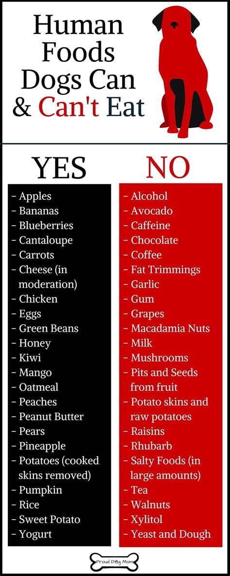 There is a wide variety of unhealthy and unsafe foods to avoid when preparing meals for your dog. The Human Foods Dogs Can Eat (Plus, The Ones They Can't ...