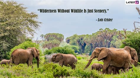World Wildlife Day 2022 Quotes And Hd Images Save Wildlife Messages