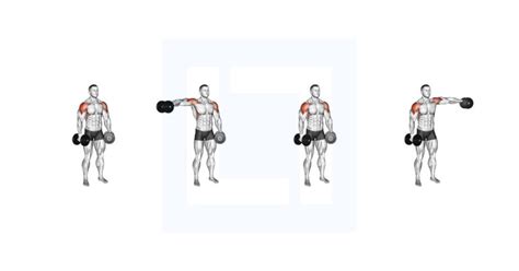 Cable Leaning Lateral Raise Guide Benefits And Form