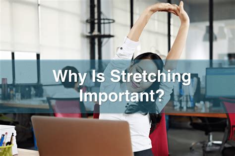 Why Is Stretching Important Mississauga And Oakville Chiropractor And Physiotherapy Clinic