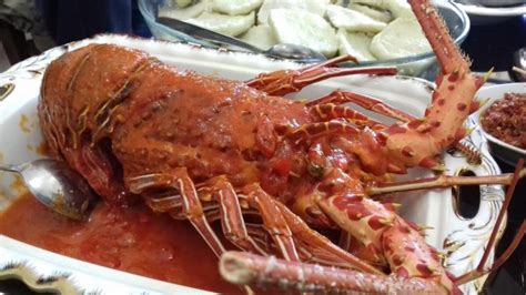 Ulang Tahun Bupati Pangkep Dapat Kado Lobster Raksasa Dari Dinas