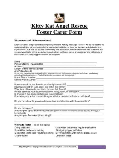 Kitty Kat Angel Rescue Foster Carer Form Kitten Cats