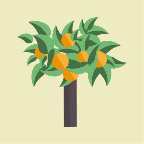 Orange Tree S Find And Share On Giphy
