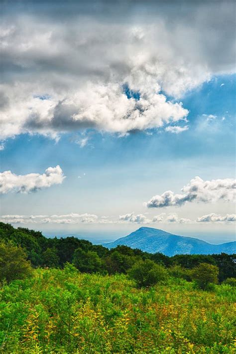 Shenandoah National Park Virginia Stephen L Tabone Nature Photography