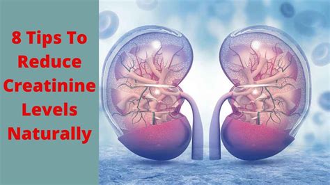 8 Tips To Reduce Creatinine Levels Naturally How To Lower Creatinine