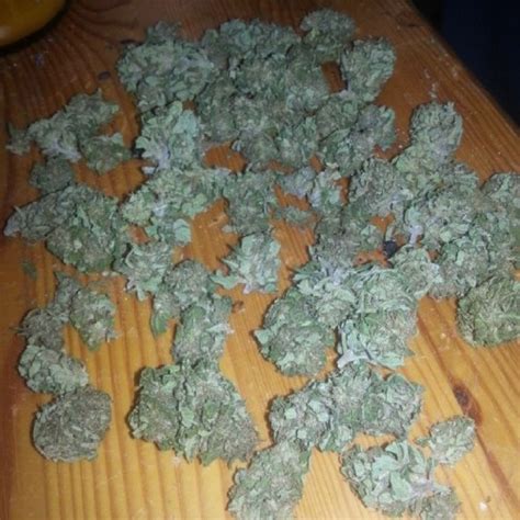 Weed wallpaper tumblr ·① wallpapertag free weed wallpaper tumblr ·① wallpapertag high definition quality wallpapers for desktop and mobiles in hd, wide, 4k and 5k resolutions. weed pictures on Tumblr