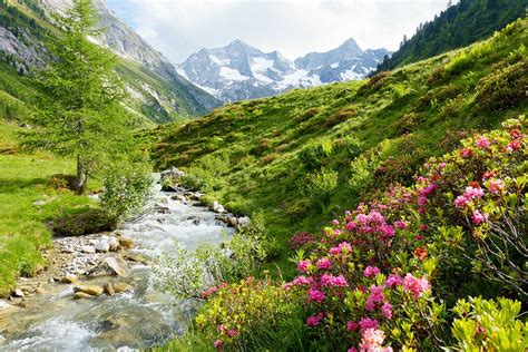 A Mountain Stream In The Austrian State Of Tyrol Mountain Stream