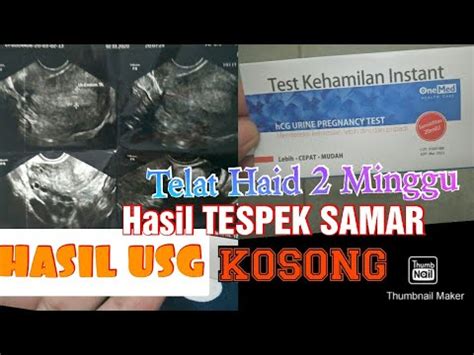 Apa maksud haid datang lambat? TELAT HAID 2 MINGGU HASIL TESPEK SAMAR DI USG KOSONG ...