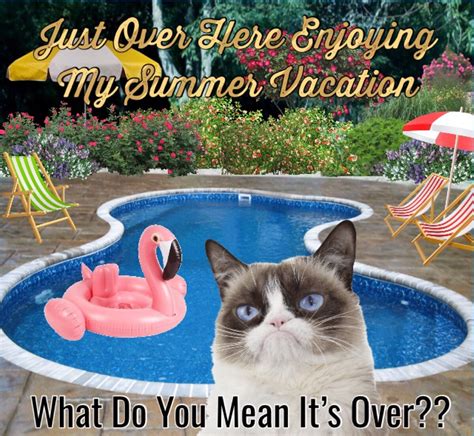 Grumpy Cat Is Enjoying Summer Vacation What Do You Mean Its Over