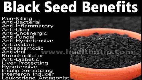 Black cumin seeds health benefits in tamil. Message of The Prophets : Benefits of Black SEED( Kalonji ...