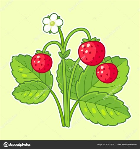 Wild Strawberry Plant Drawing Leaves Flower Ripe Berries Cute Cartoon