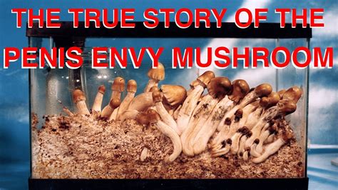 The True Story Of The Penis Envy Mushroom Youtube