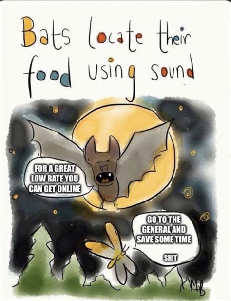 Bats Are Truly Fascinating Meme Guy