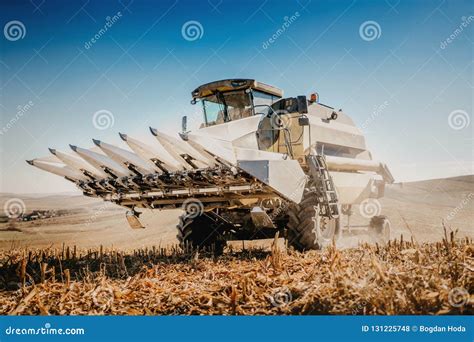 Working Combine Harvesting Corn Working Details Of Autumn Harvest