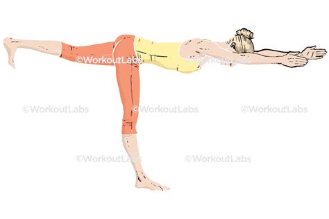 Warrior Iii Virabhadrasana Iii Yoga Poses Guide By Workoutlabs