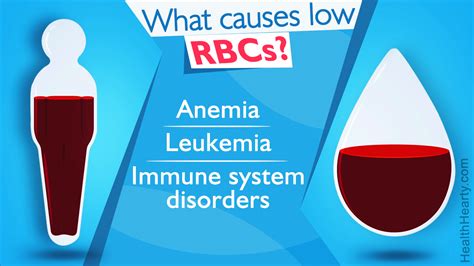 Causes Of Low Red Blood Cell Count Health Hearty