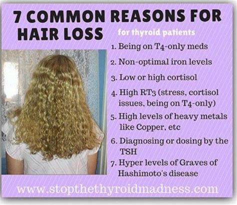 Hair loss often occurs in patients suffering or recovering from a medical condition or illness. Hashimotos | Hair loss, High cortisol, Hair loss reasons