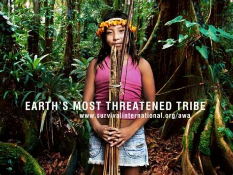 Earths Most Threatened Tribe Wall Street International Magazine