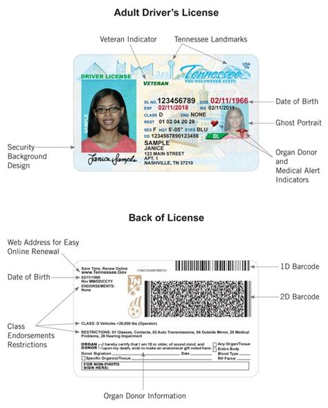 Driver License Card Examples